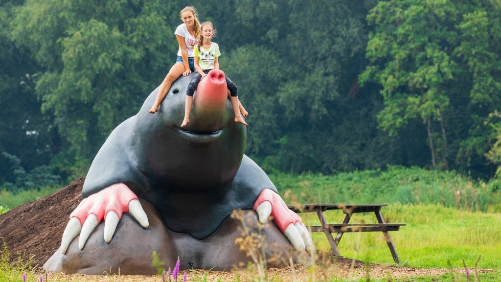 Loetbos-mol-werksma-staatsbosbeheer-groenalliantie