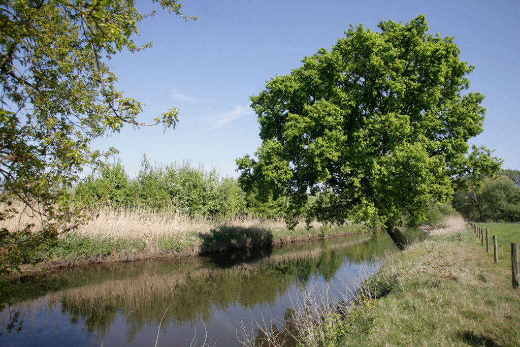 Water en bode sturend