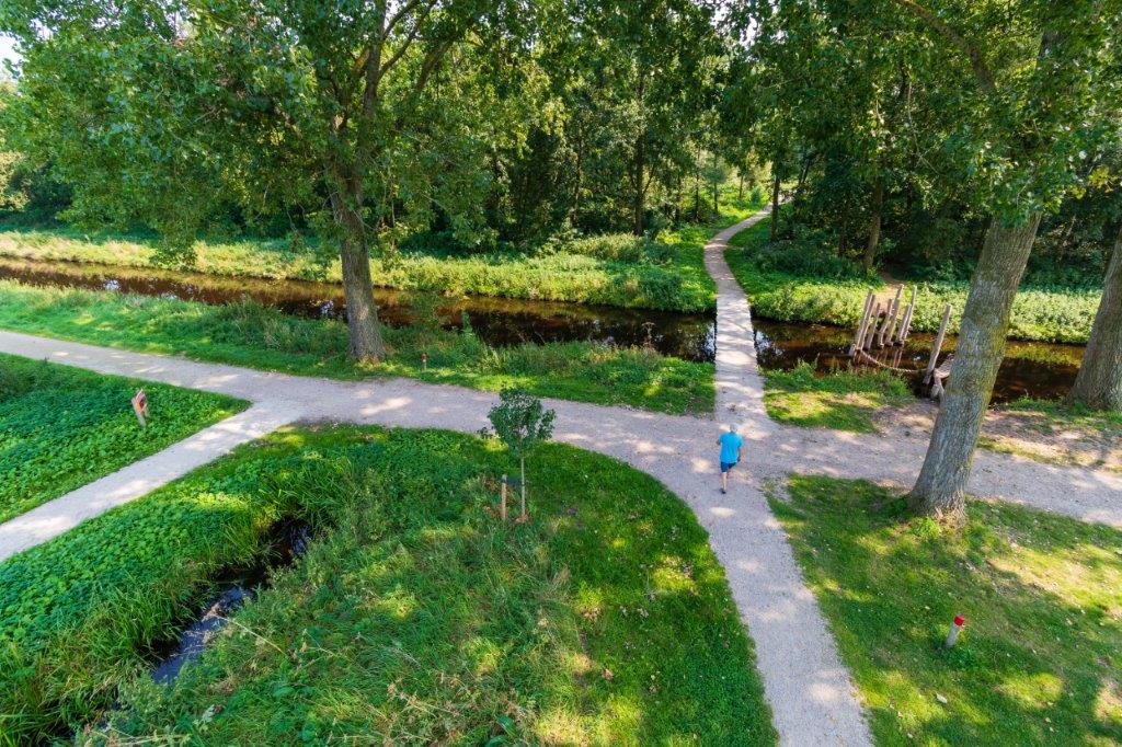 Bossenstrategie-column