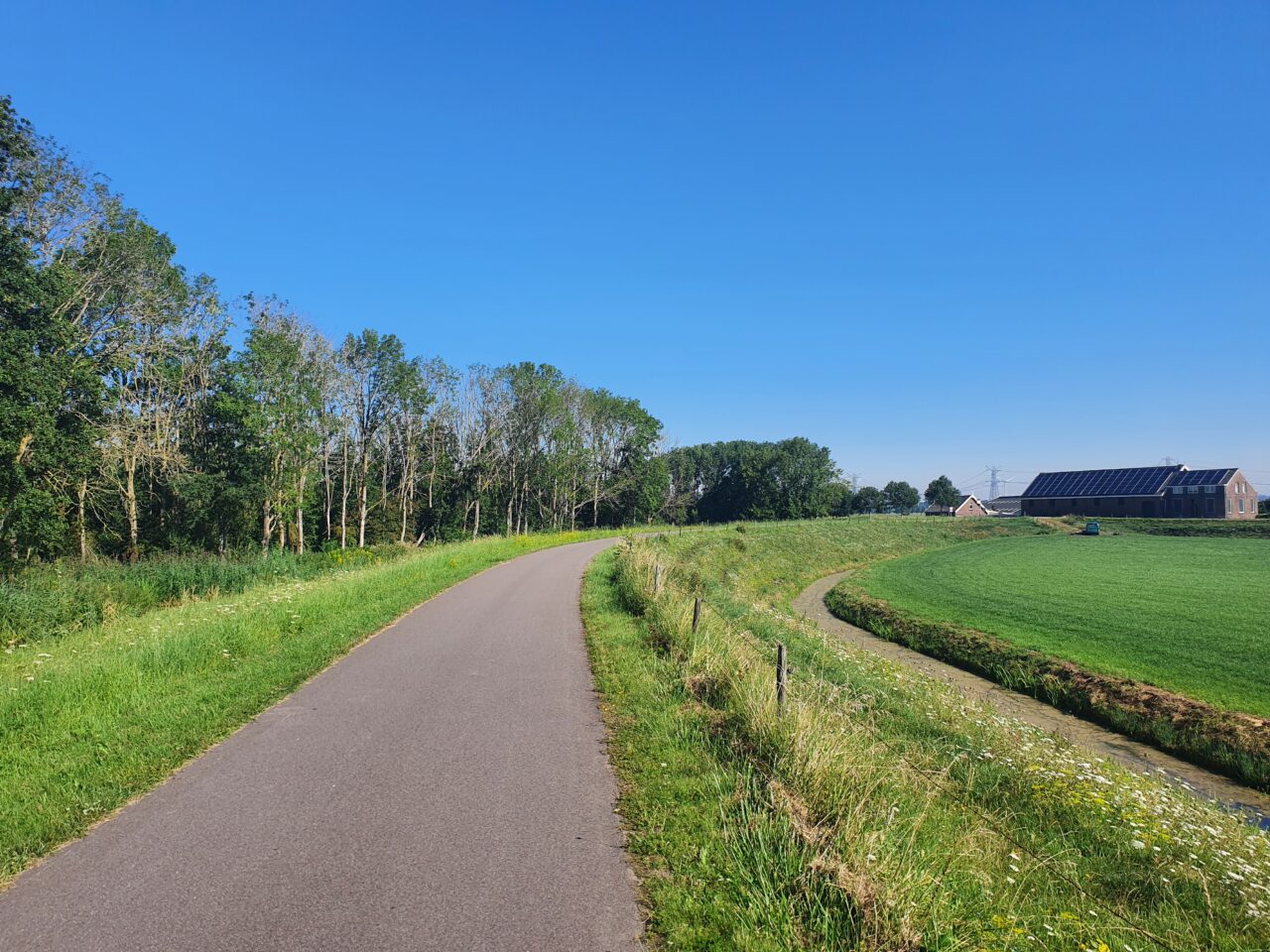 Essentaksterfte Voorne Putten H2Ruimte