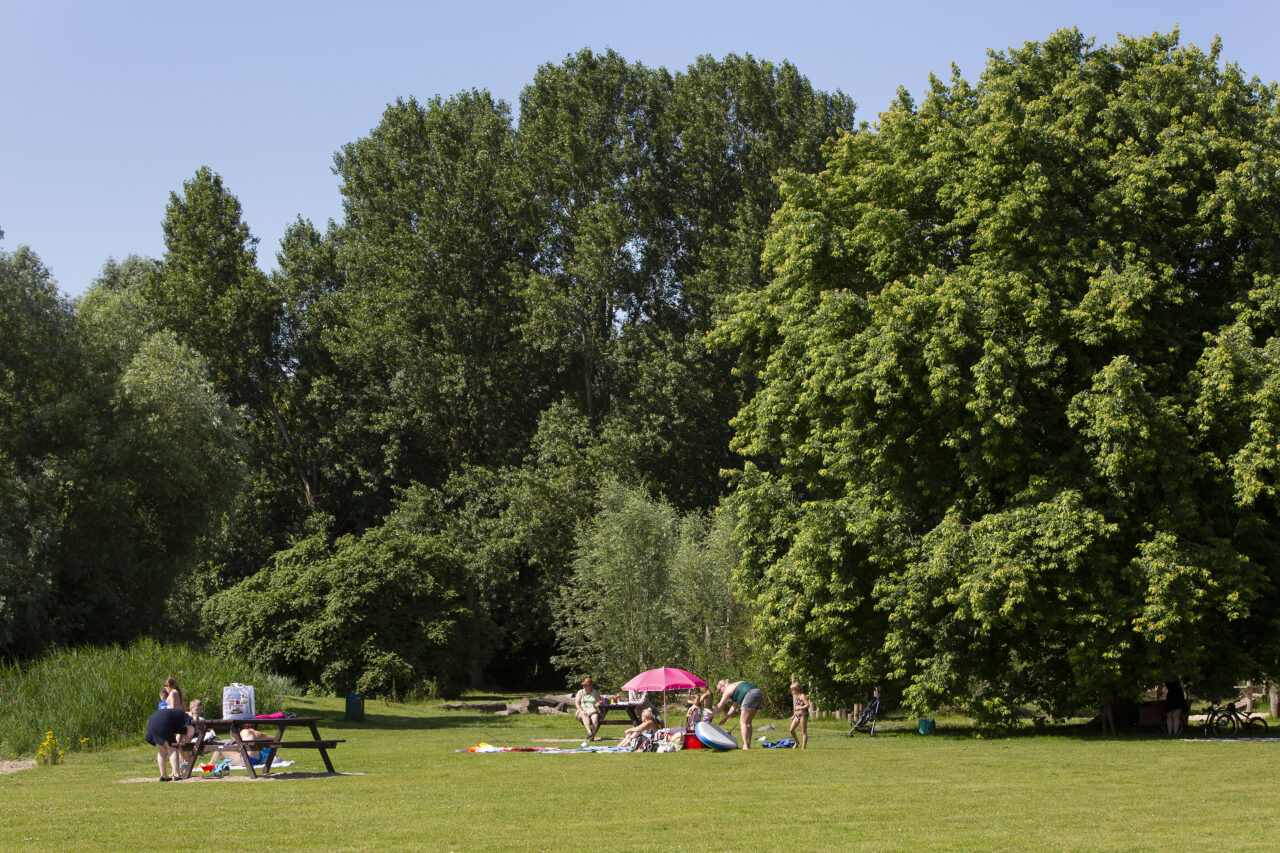 Bossenstrategie H2Ruimte