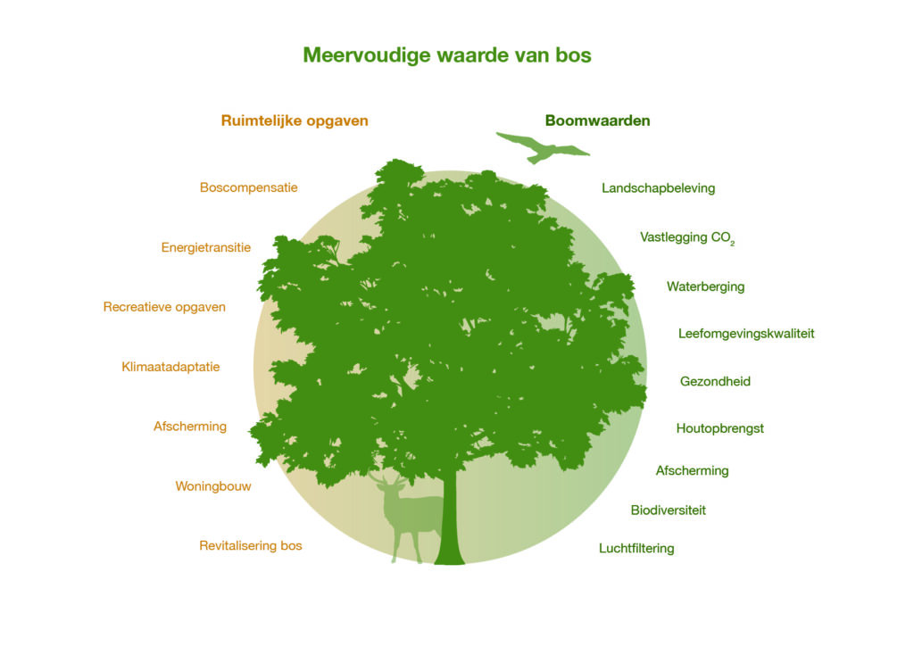 Meerwaarde bossen H2Ruimte