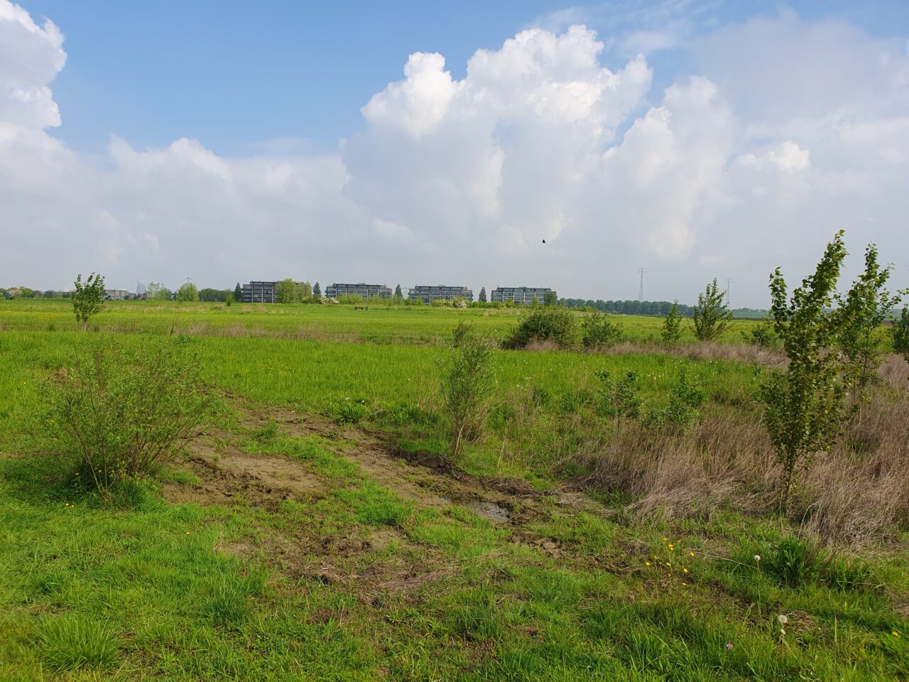 Recreatiegebied de uitwaayer